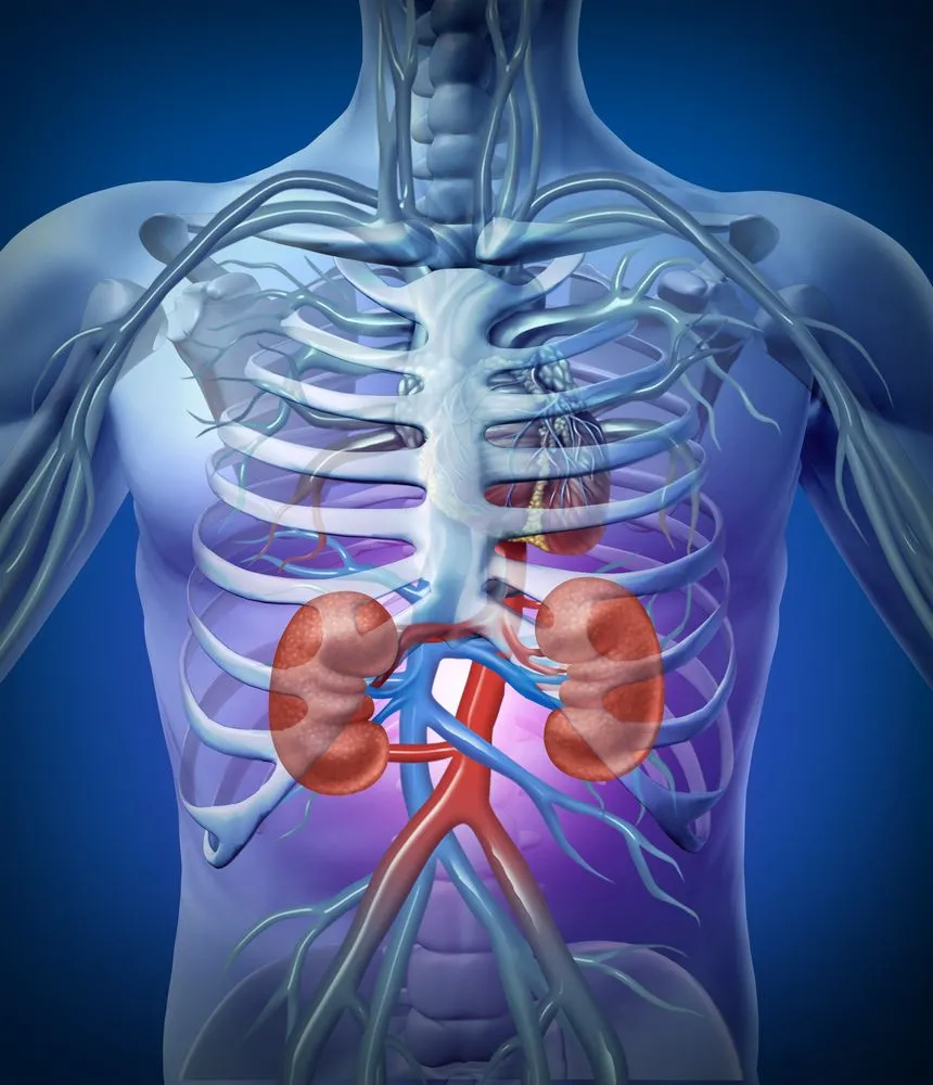 About Kidney Consultants About Kidney Consultants